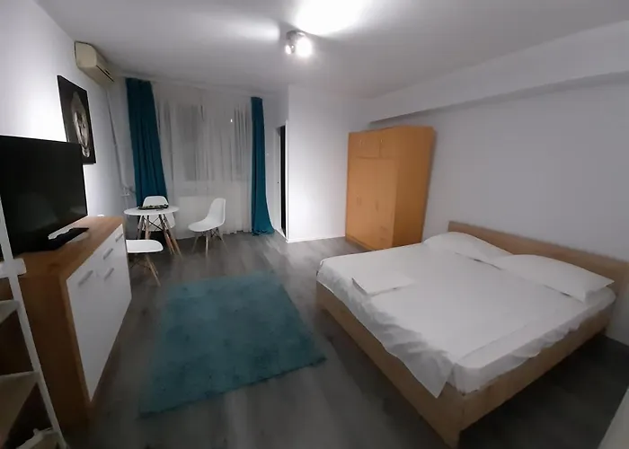 Bega Circumvalatiunii 1 Room Apartment
