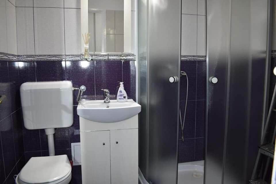 Bega Circumvalatiunii 1 Apartment